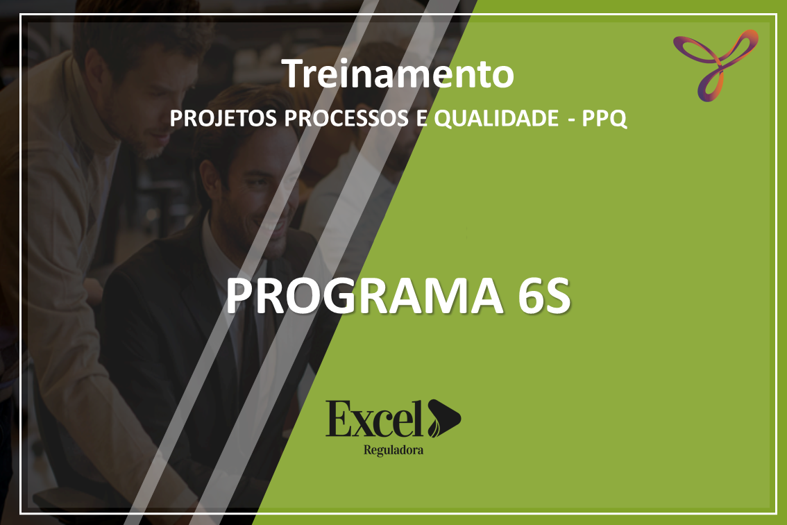 Course Image Programa 6S Excel Reguladora